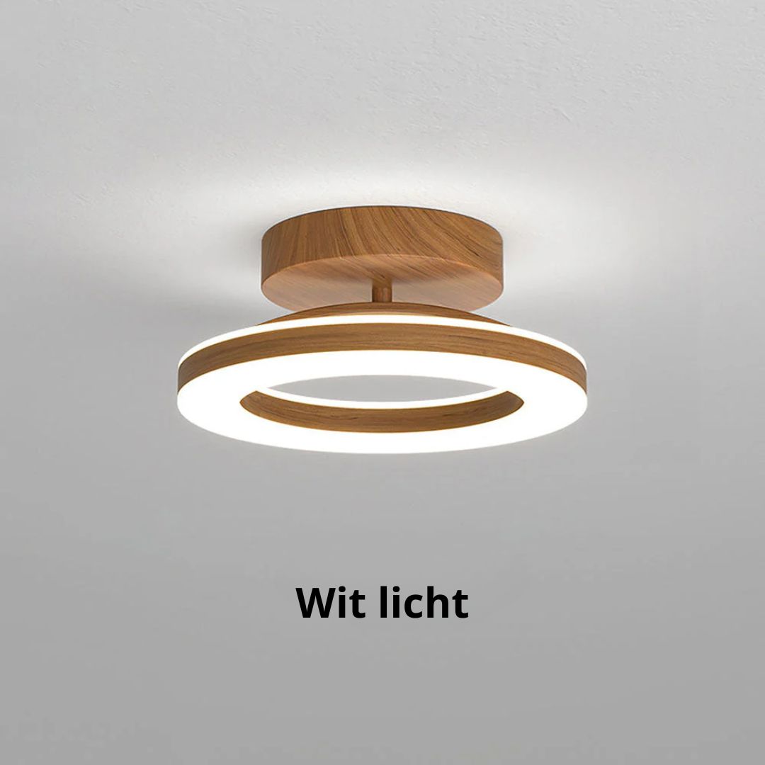 Ovelle Ceiling Light