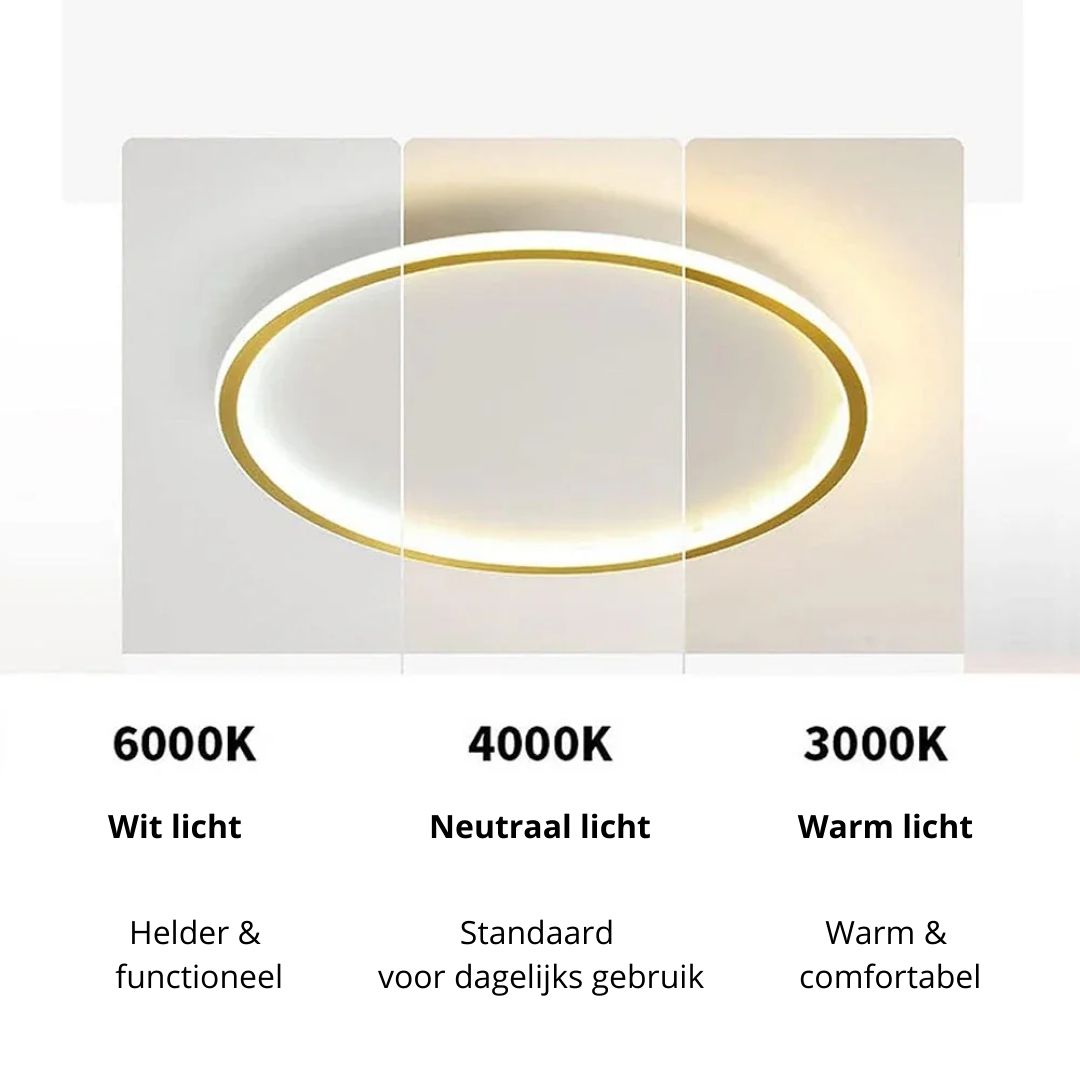 Circull Ceiling Light