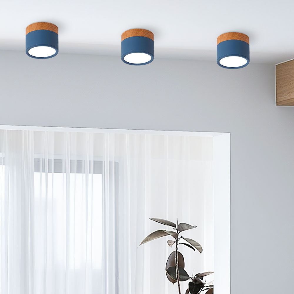Cylinder Small Ceiling Light