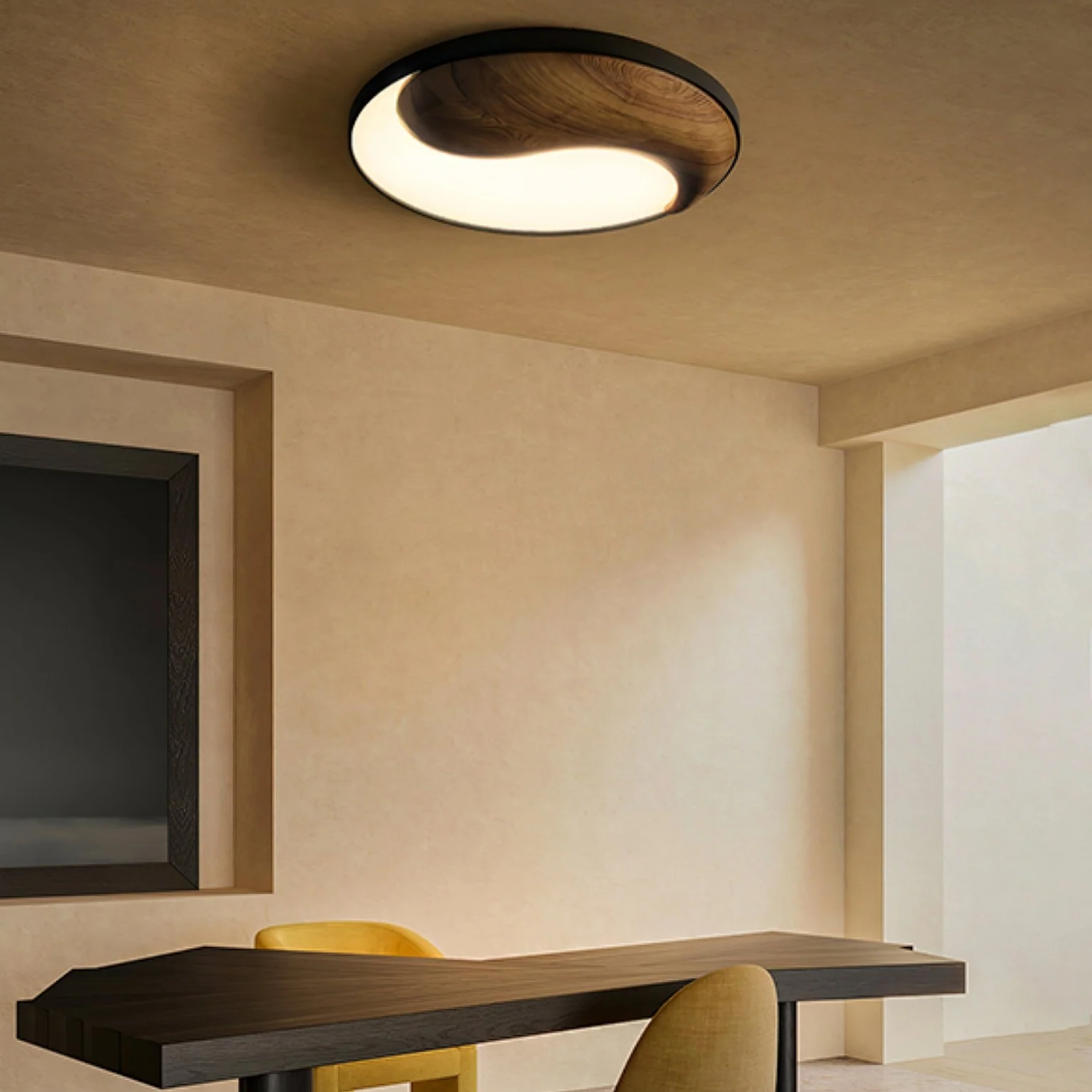 YinYang Design Ceiling Light