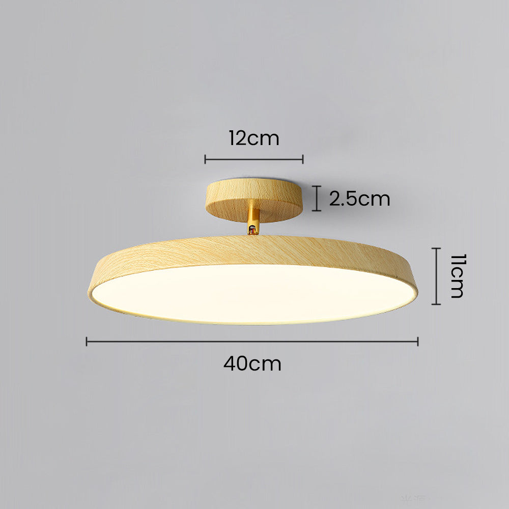 Veylith Ceiling Light