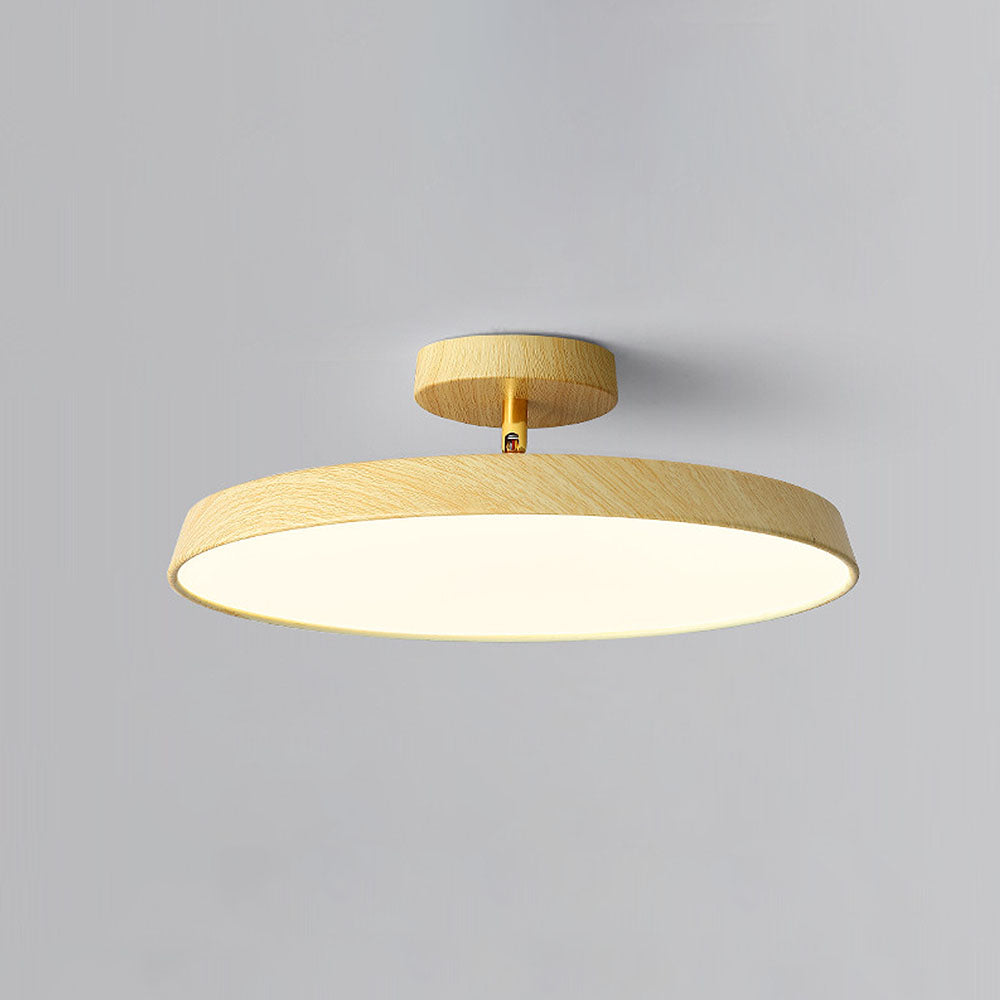 Veylith Ceiling Light