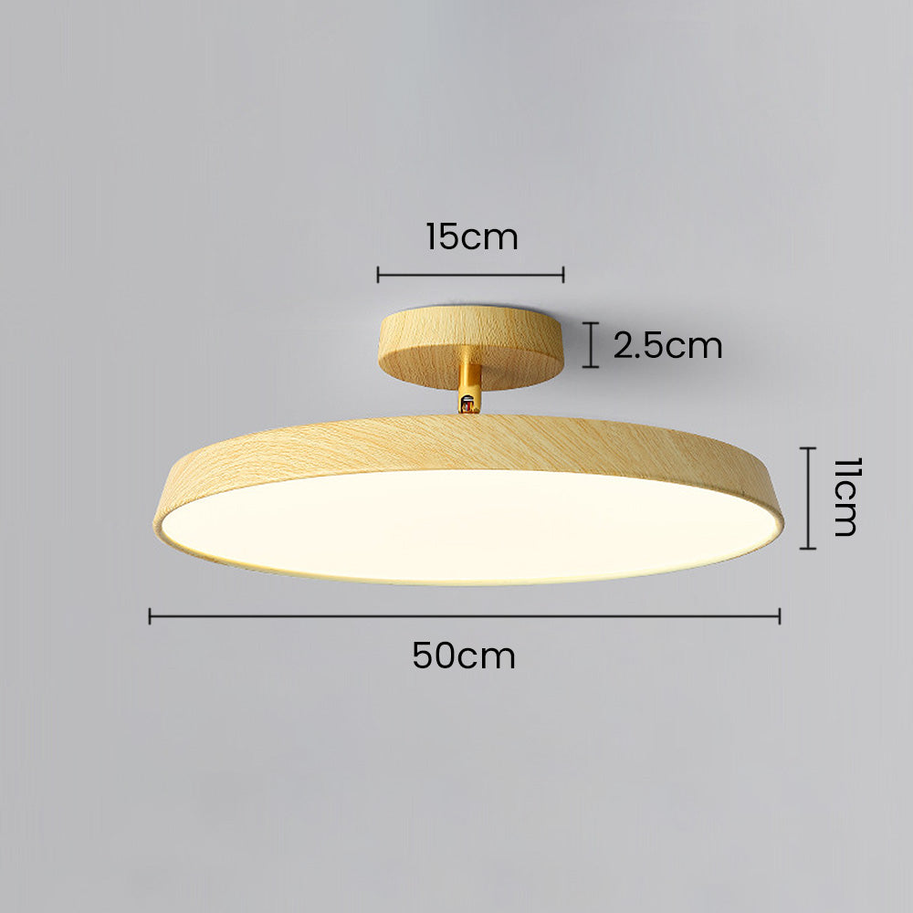Veylith Ceiling Light