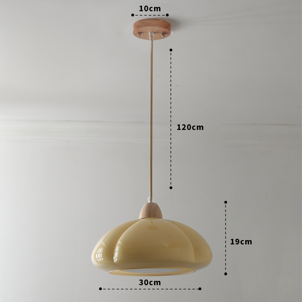 Olvy Pumpkin Pendant Light