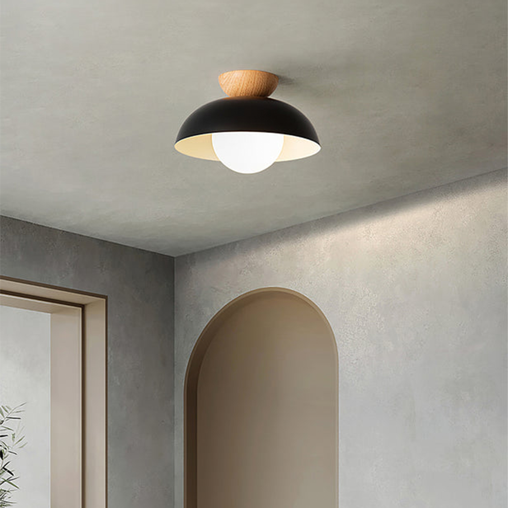Meslamo Ceiling Light