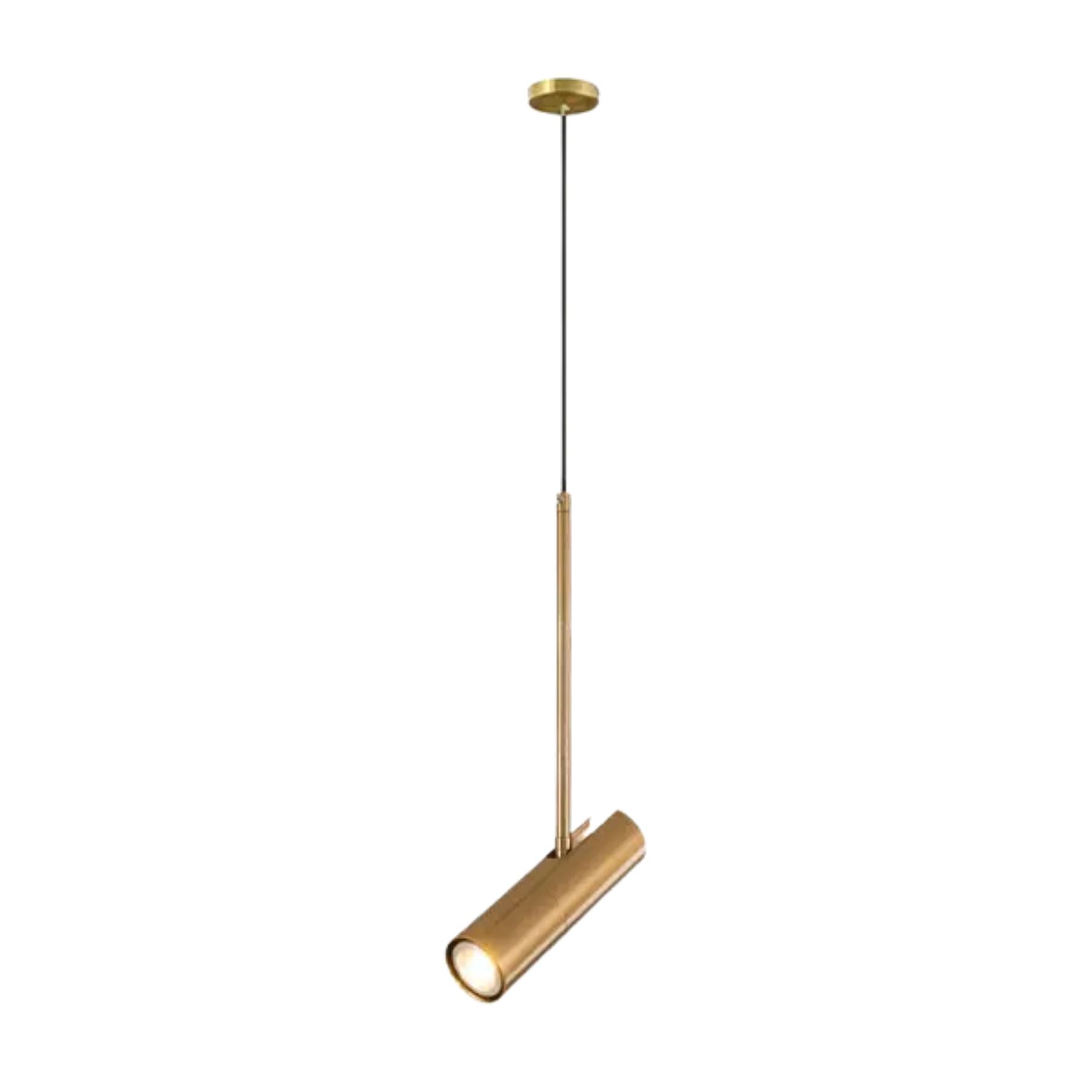 Sylotor Pendant Light