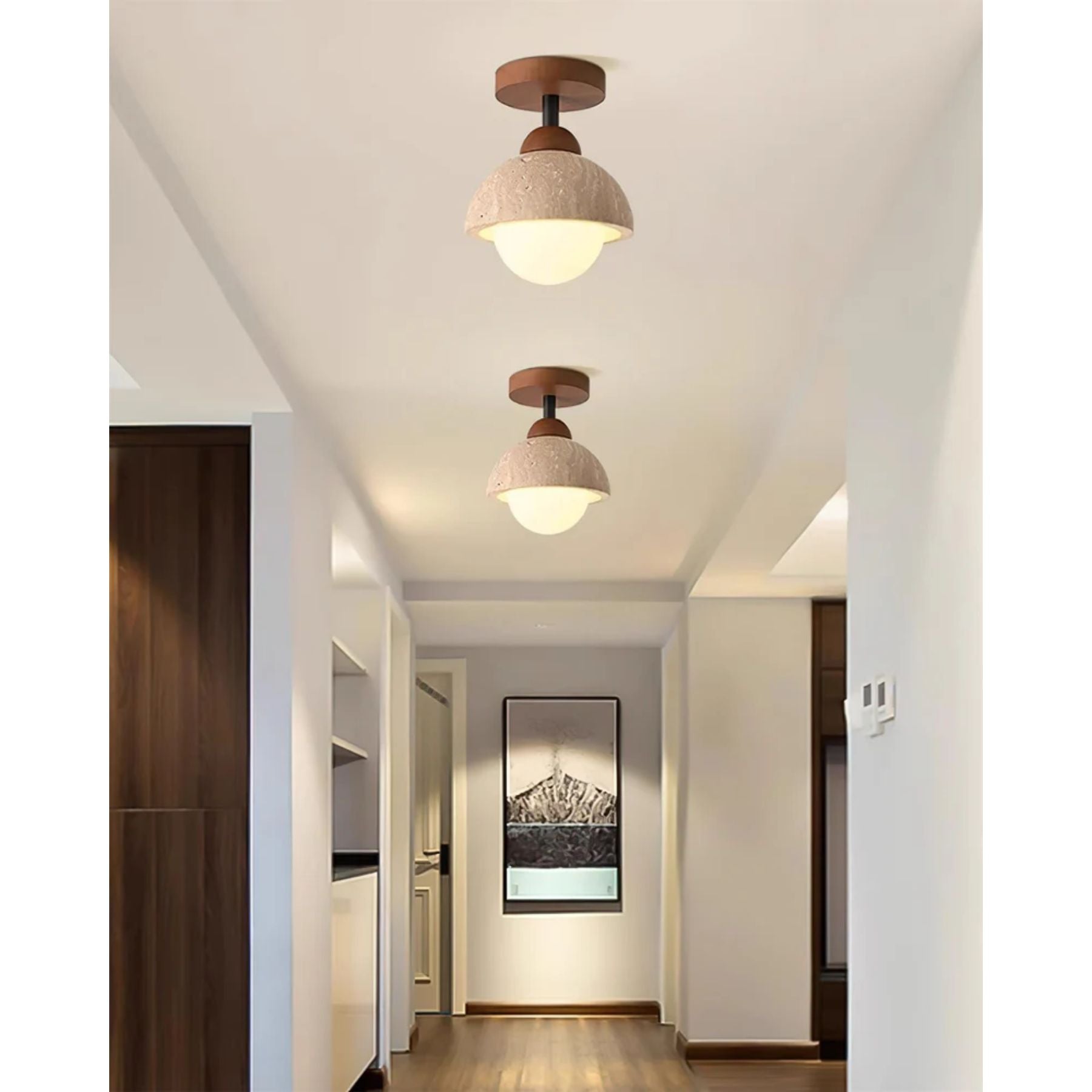 Delvoro Ceiling Light
