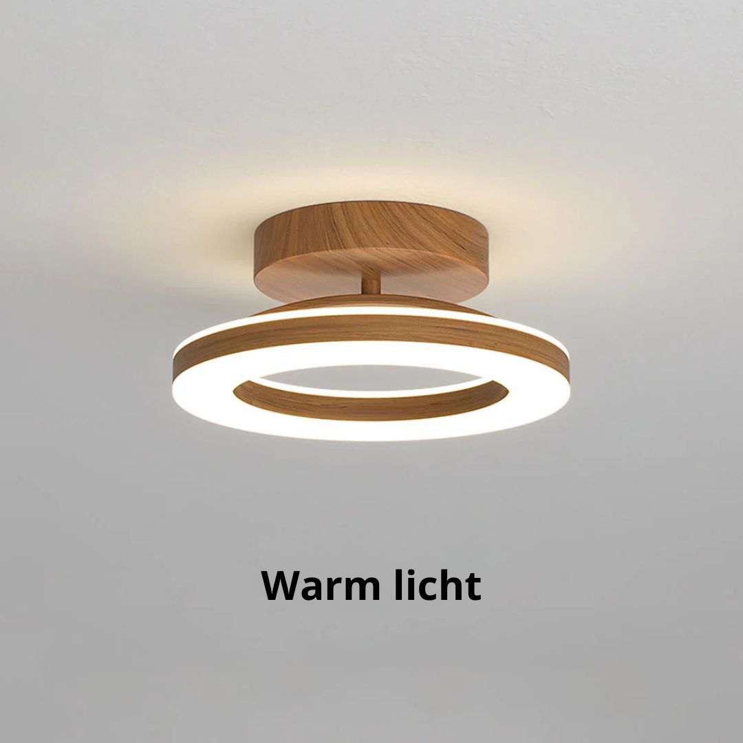 Ovelle Ceiling Light