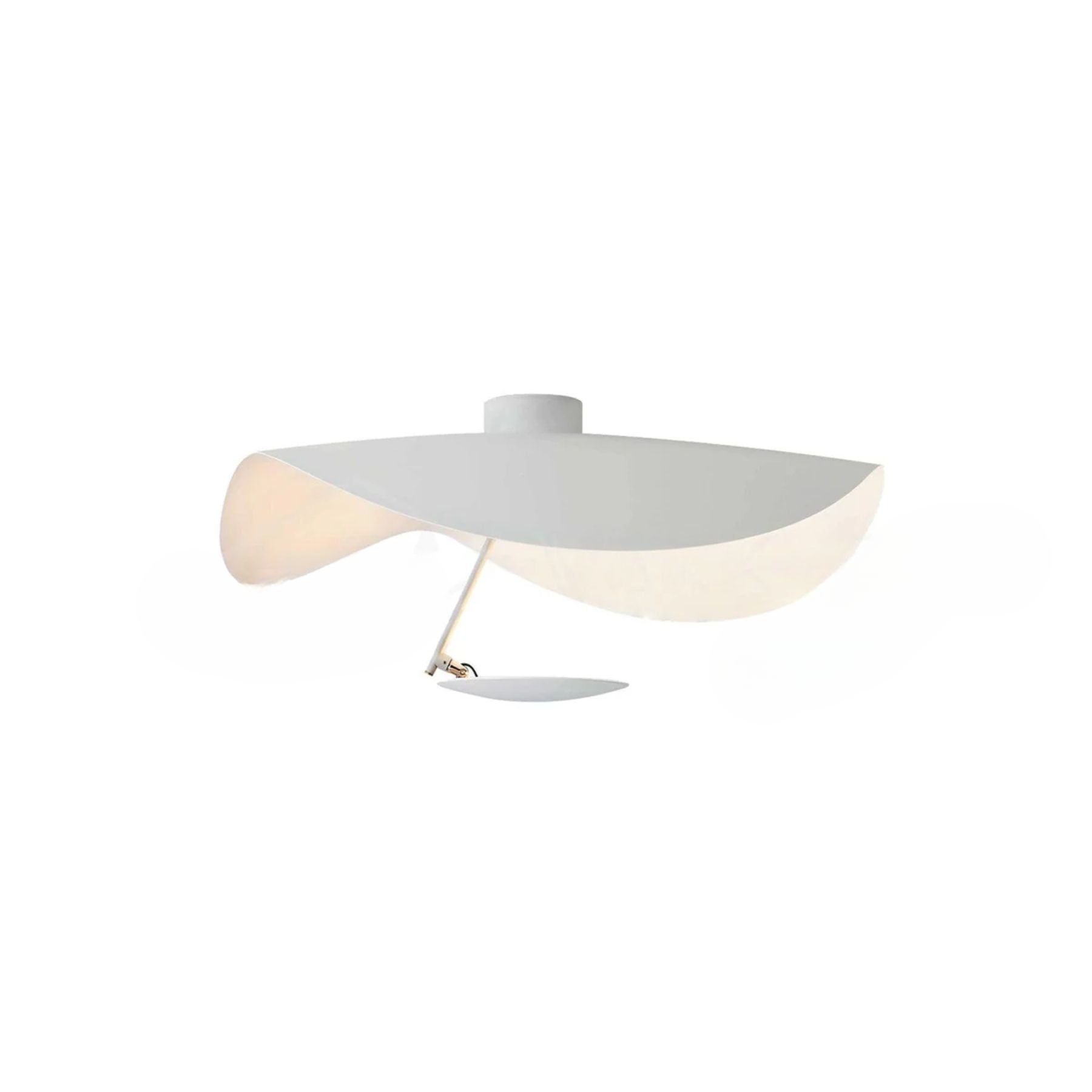 Georgoa Ceiling Light