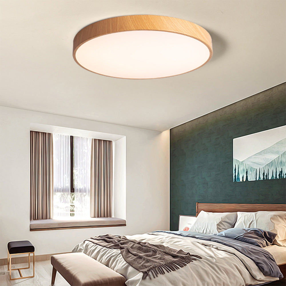 Concize Disc Ceiling Light