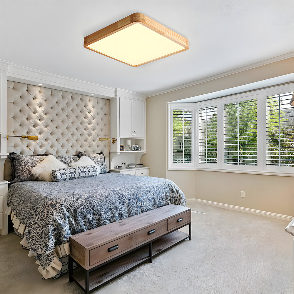 Erlivon Ceiling Light