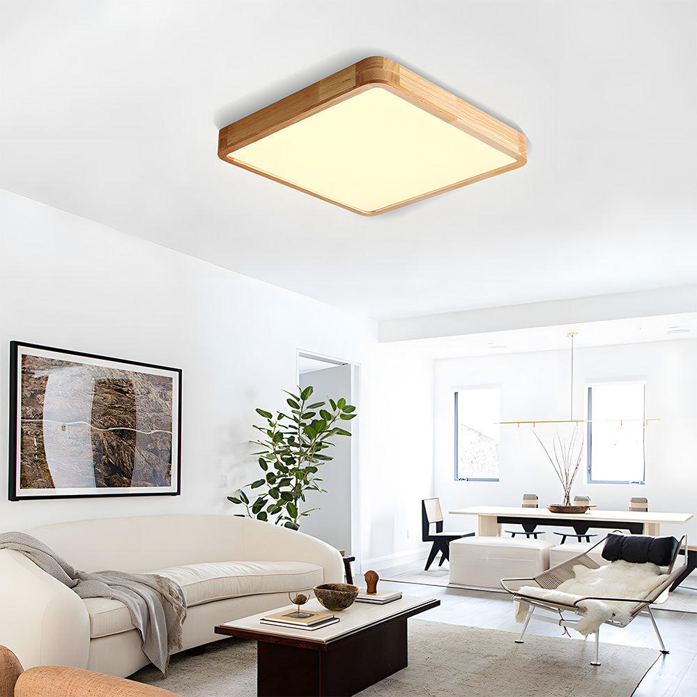 Erlivon Ceiling Light