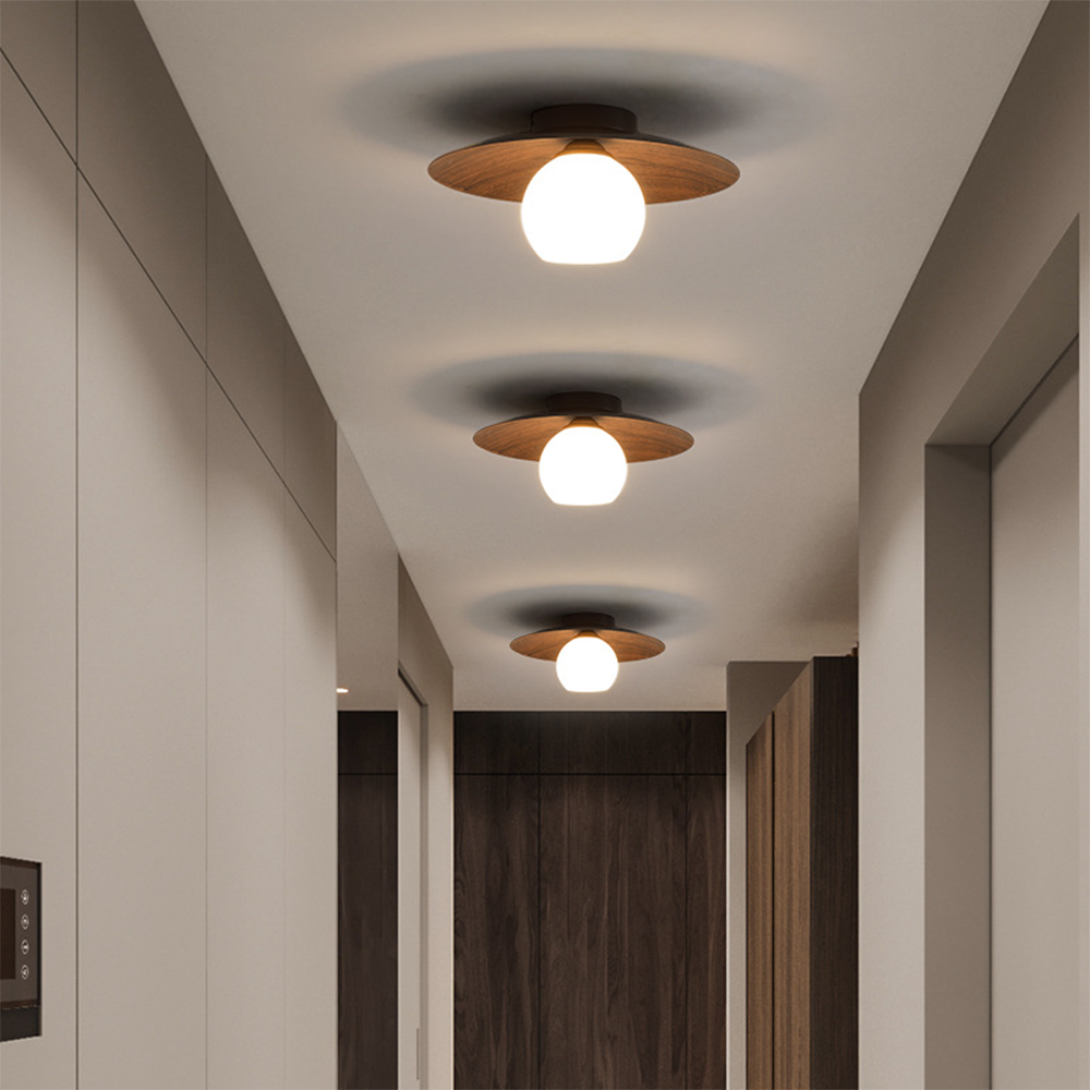 Entaro Ceiling Light