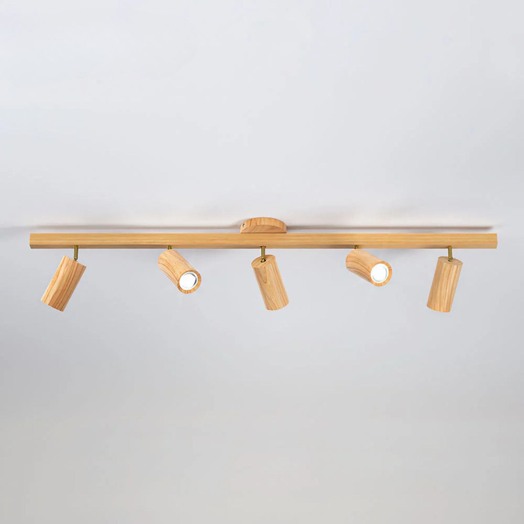 Metoza Ceiling Light