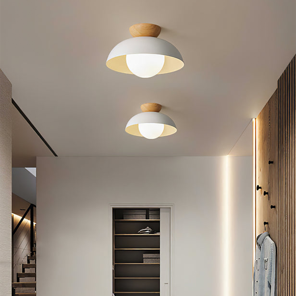 Meslamo Ceiling Light