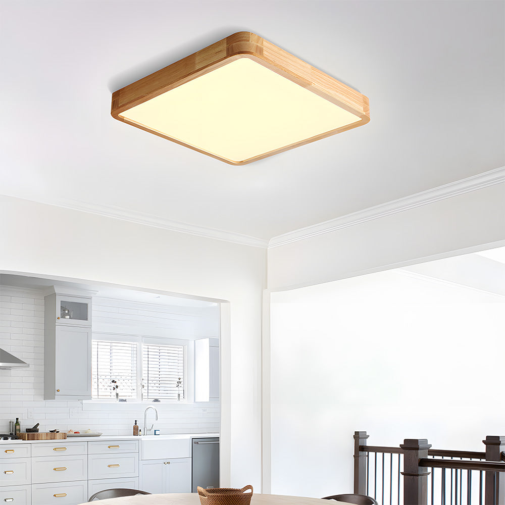 Erlivon Ceiling Light