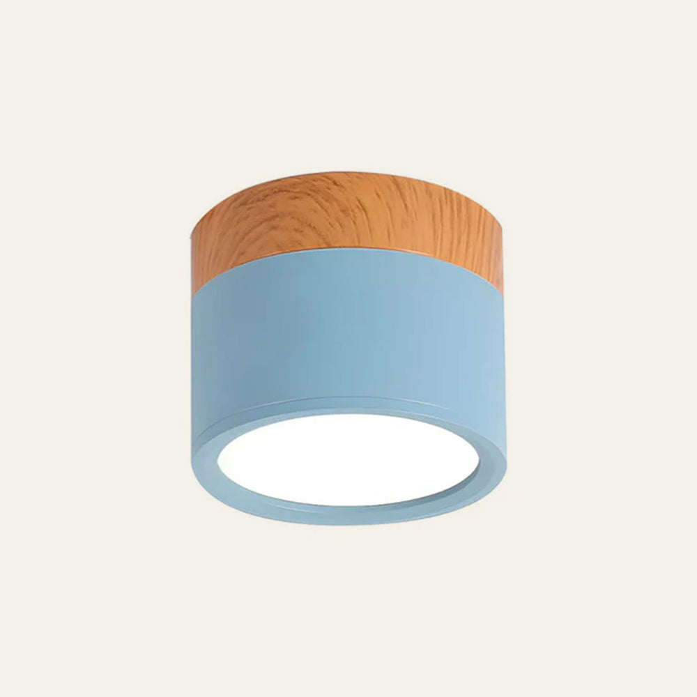Cylinder Small Ceiling Light