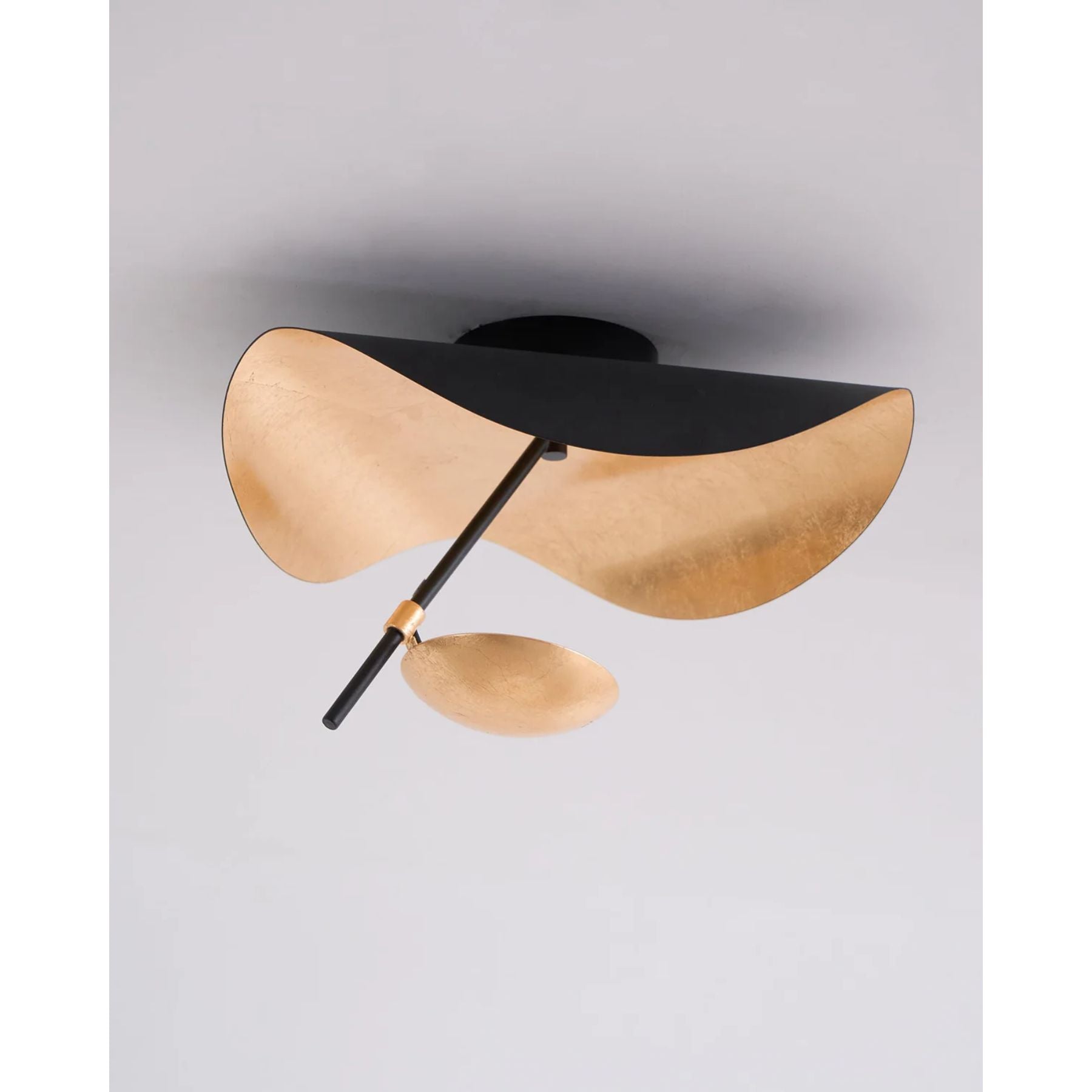 Georgoa Ceiling Light