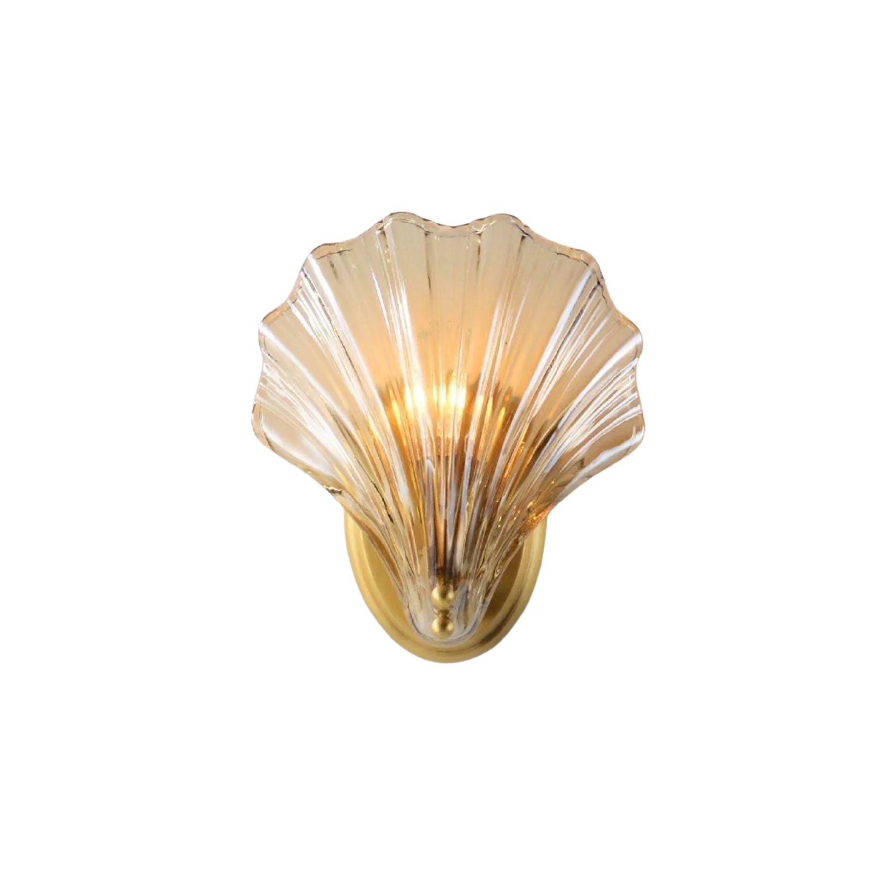 Sio Shell Wall Light