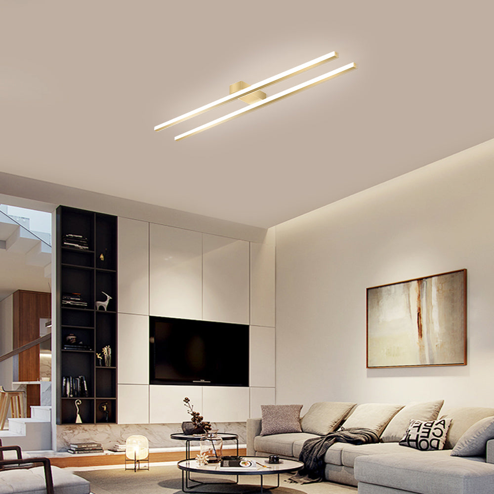 DuoLine Ceiling Light