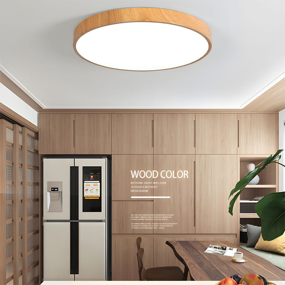 Concize Disc Ceiling Light