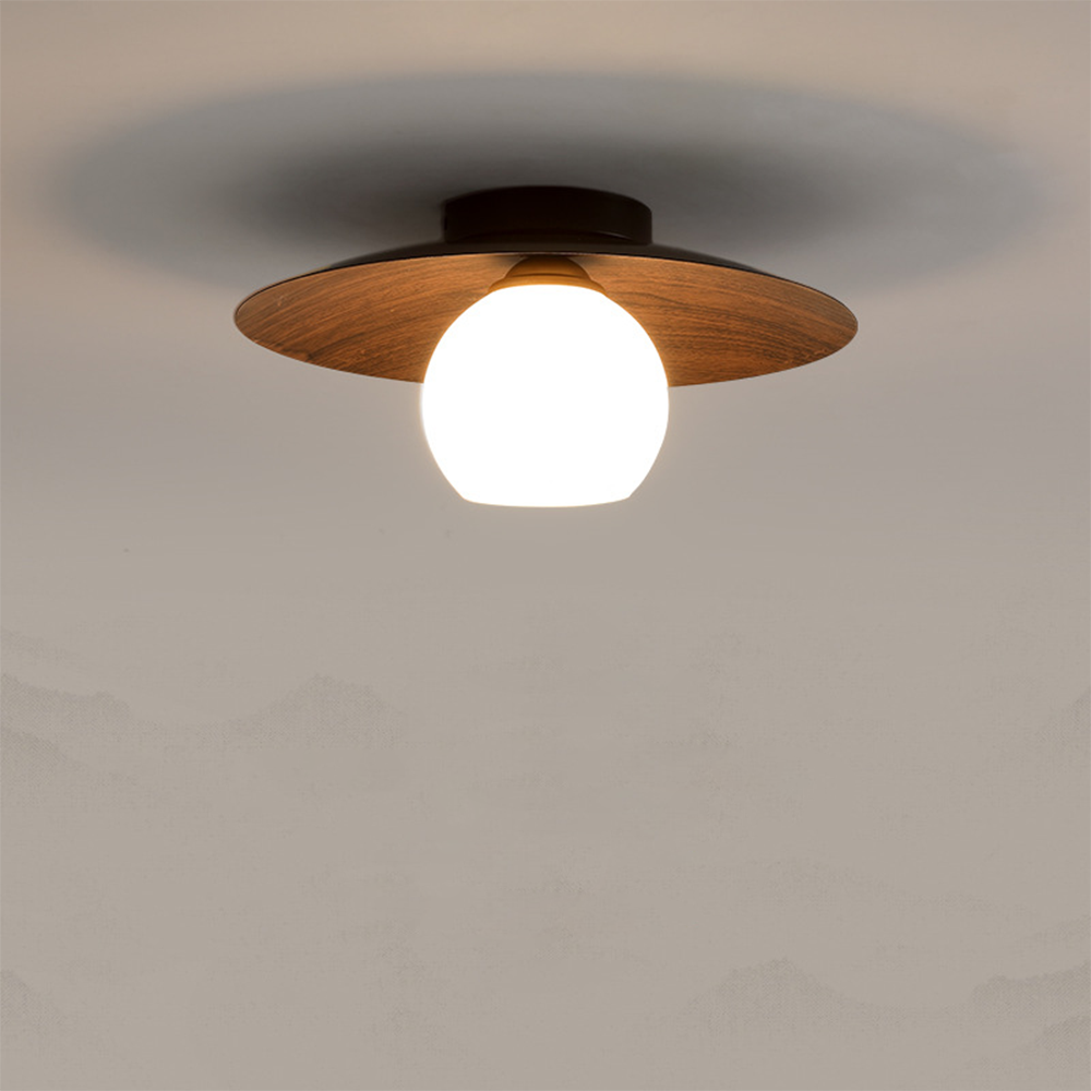 Entaro Ceiling Light