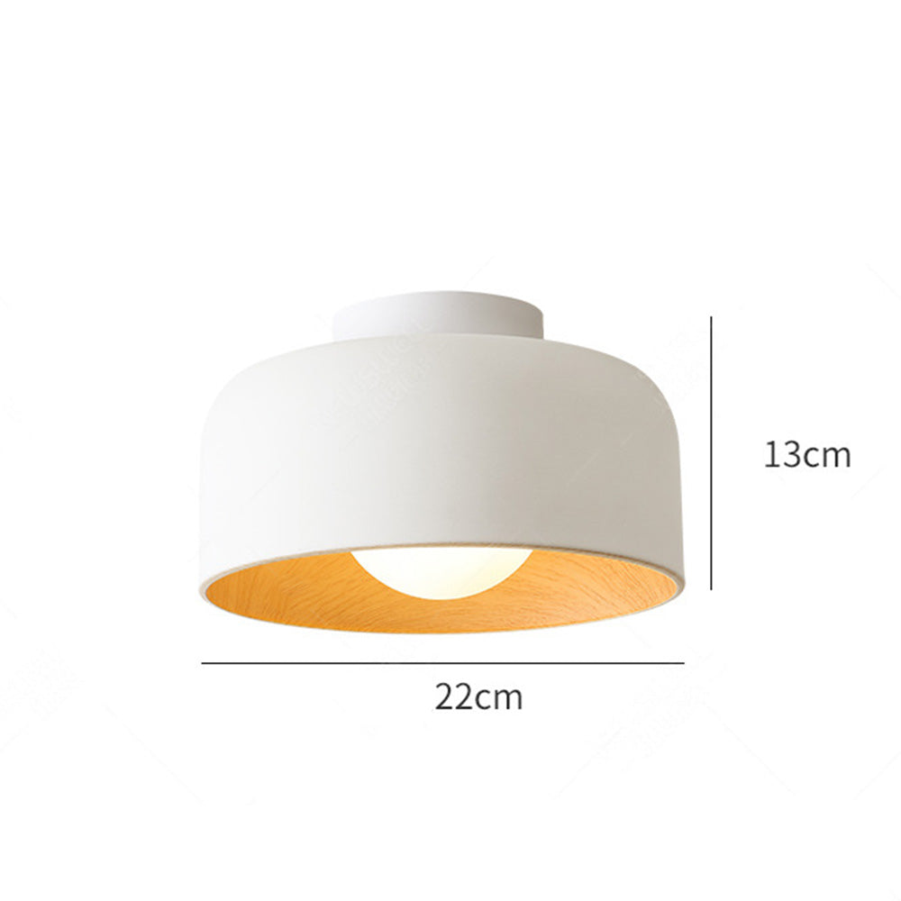 Coscon Ceiling Light