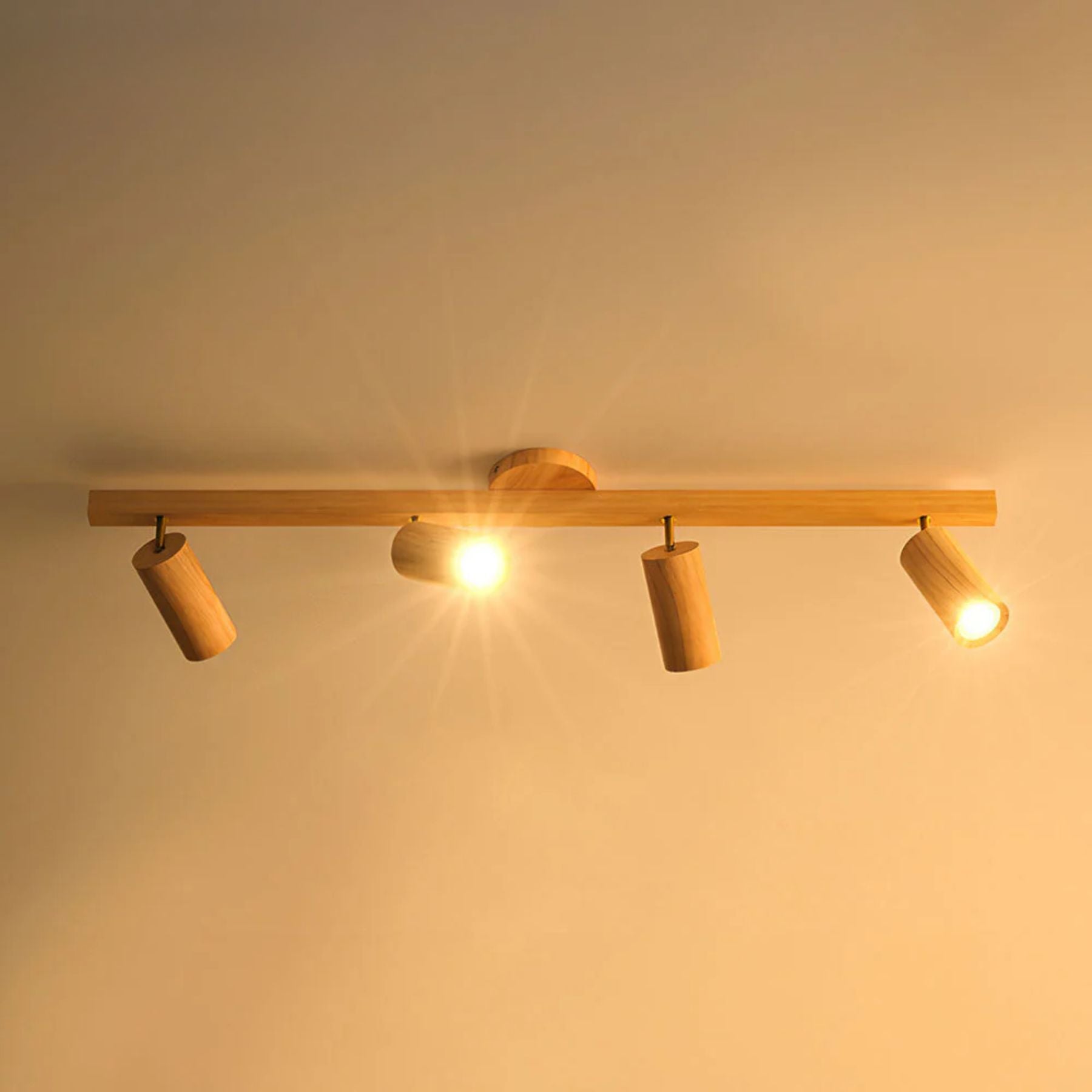 Metoza Ceiling Light