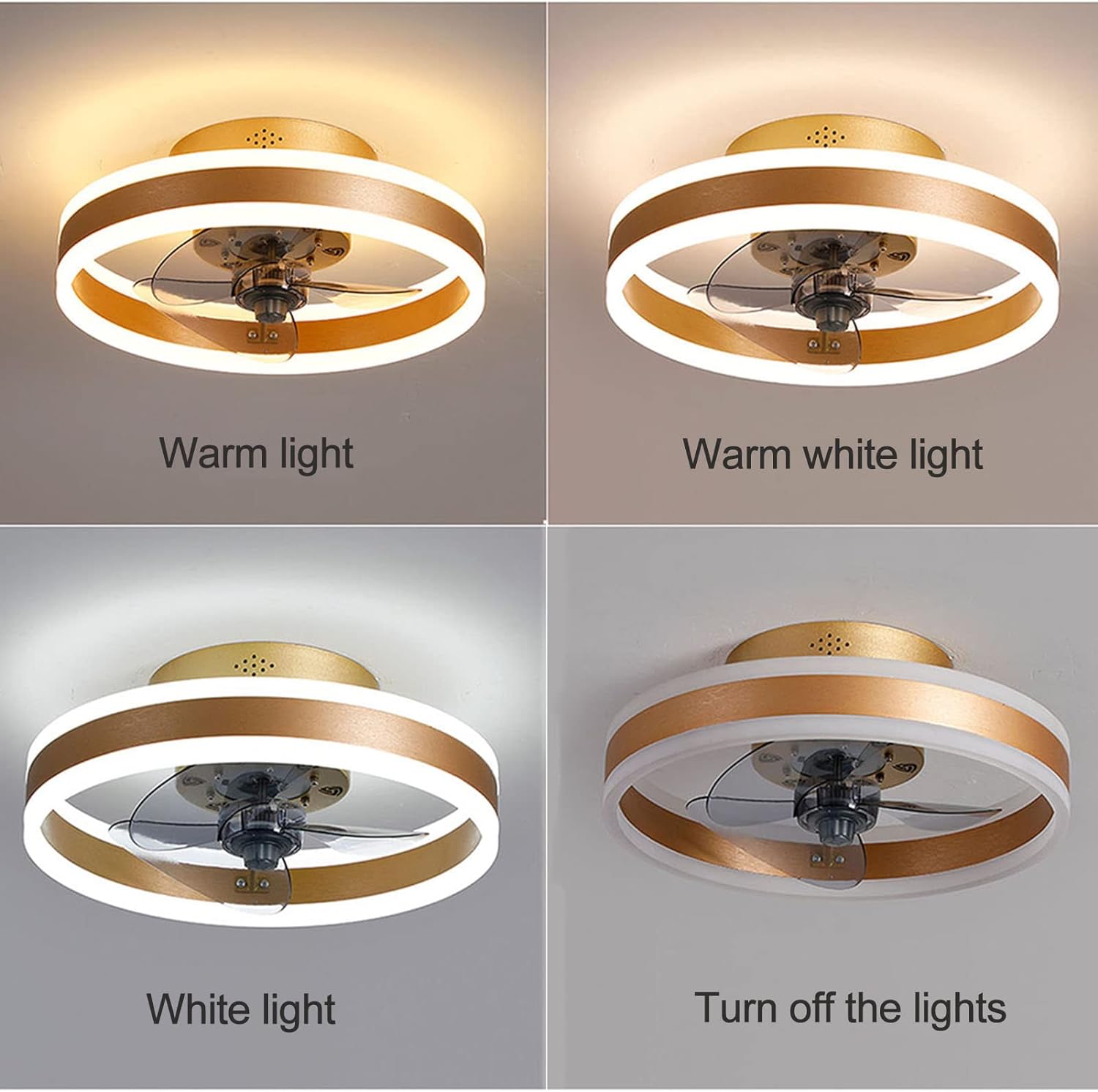 Nalaya LED Ceiling Fan