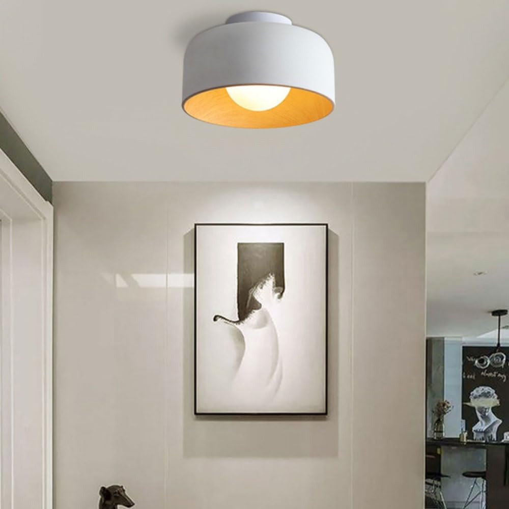 Coscon Ceiling Light