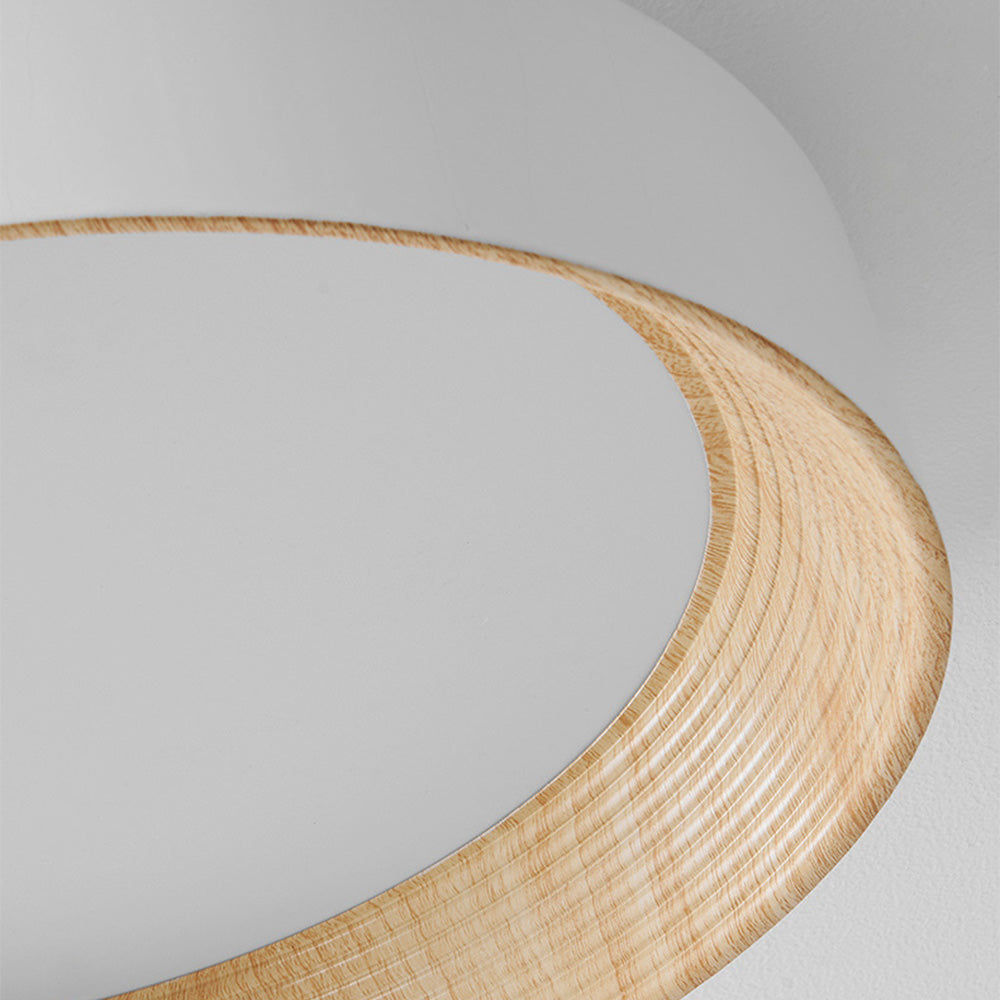 Loquin Ceiling Light