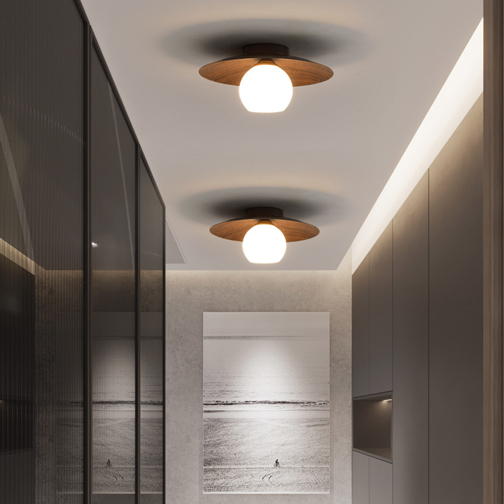 Entaro Ceiling Light