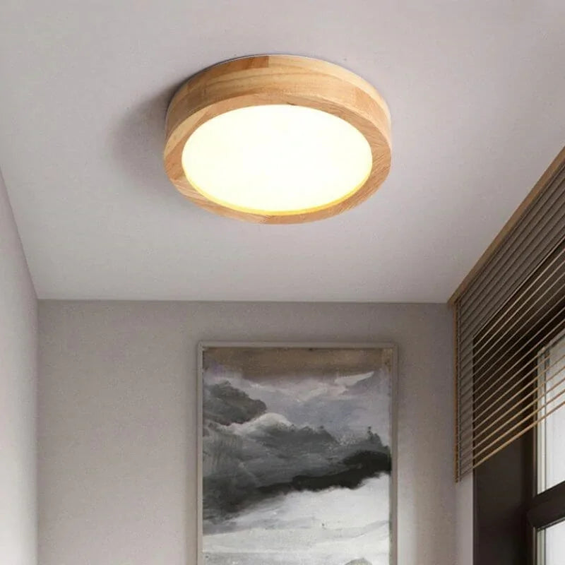 Paneo Ceiling Light