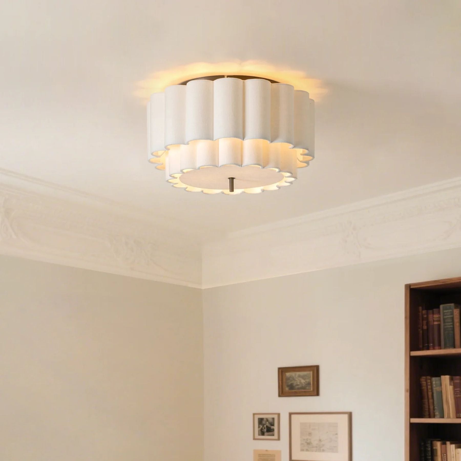 Belzyvo Ceiling Light
