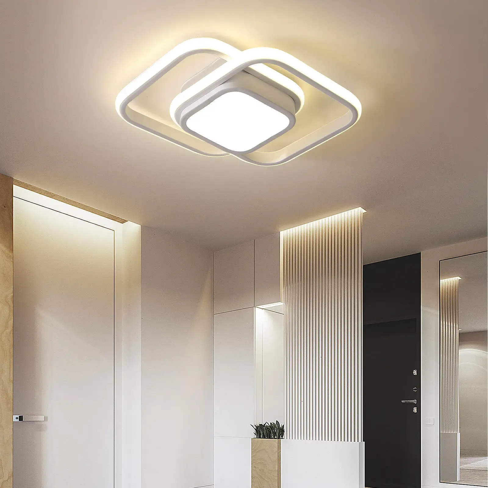 Double Ring LED Ceiling Light