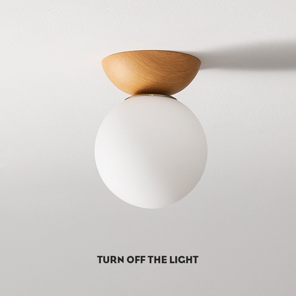 Pundo Ceiling Light
