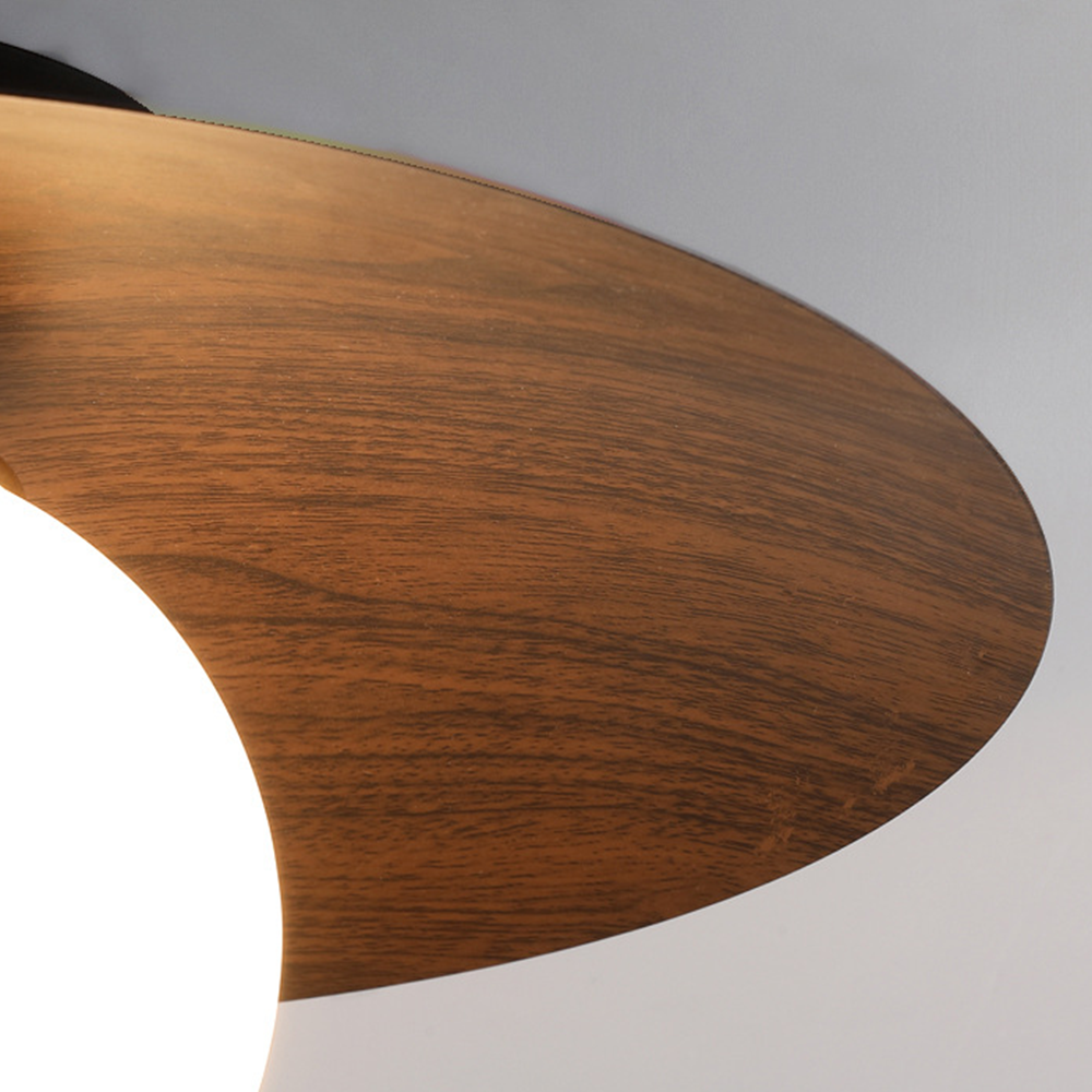 Entaro Ceiling Light