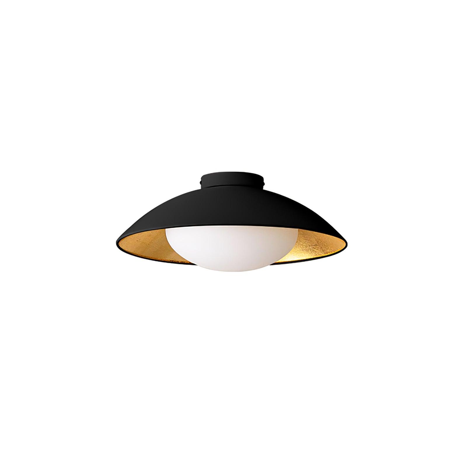 Adrienne Ceiling Light (NAAM DUBBEL VAK)