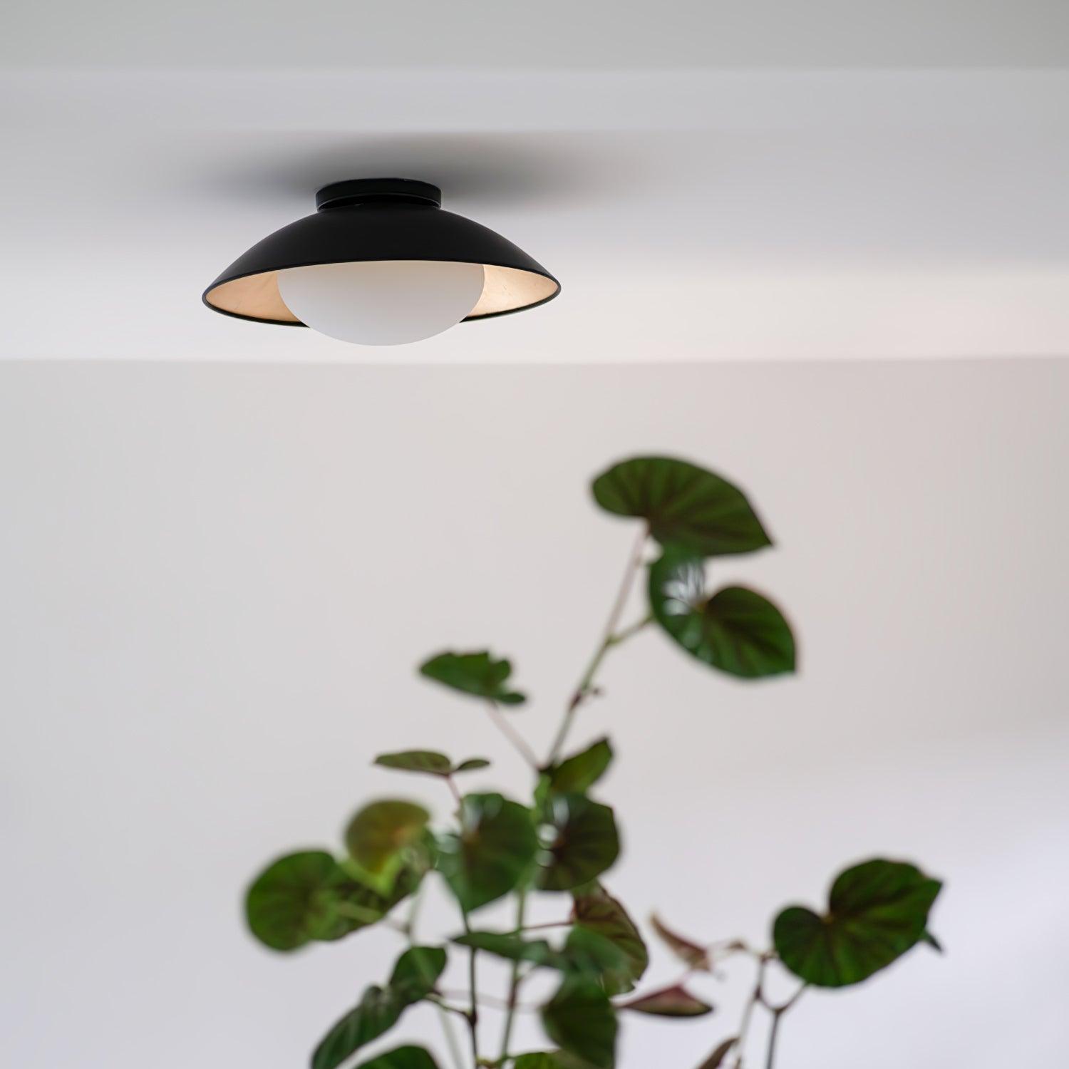 Adrienne Ceiling Light (NAAM DUBBEL VAK)