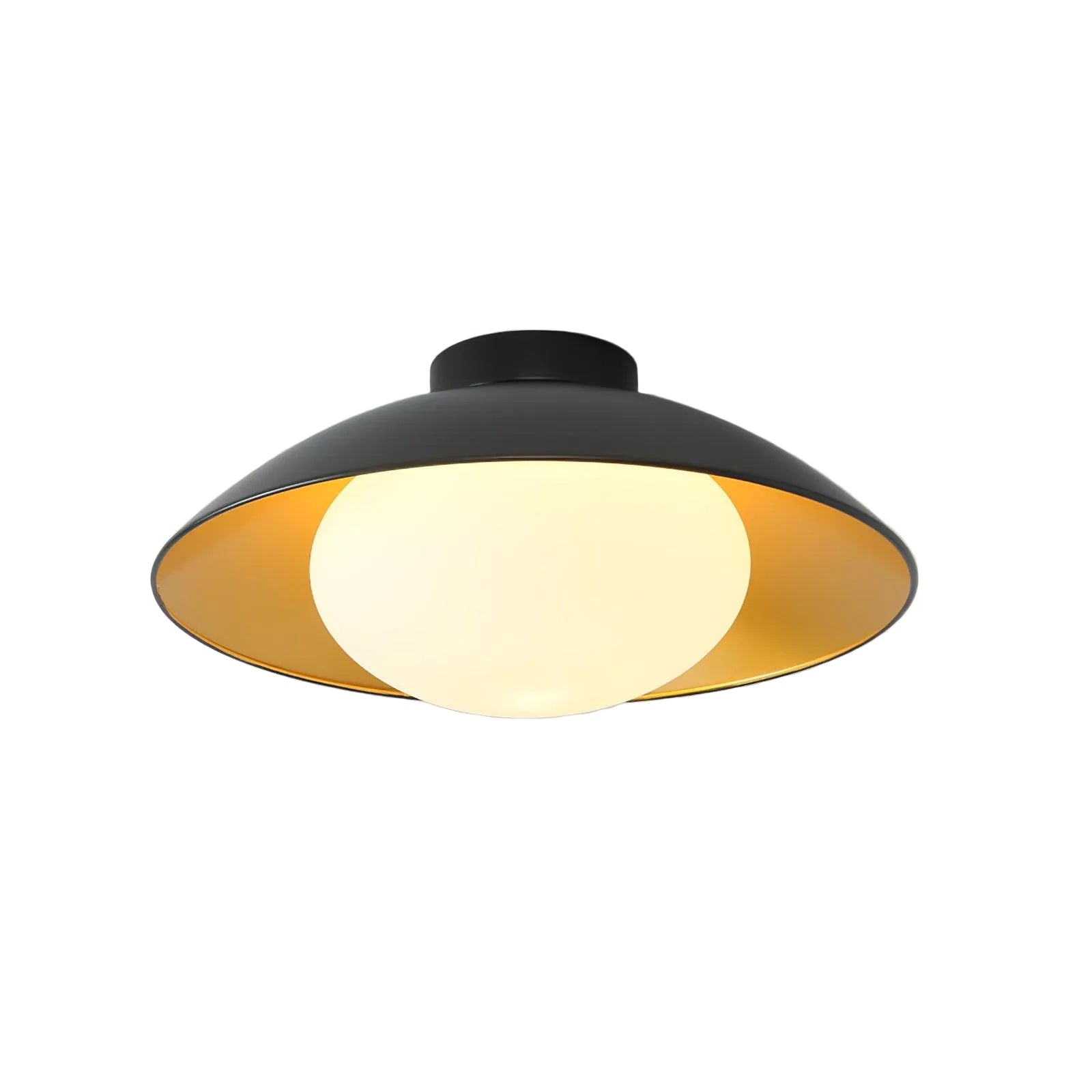 Adrienne Ceiling Light (NAAM DUBBEL VAK)