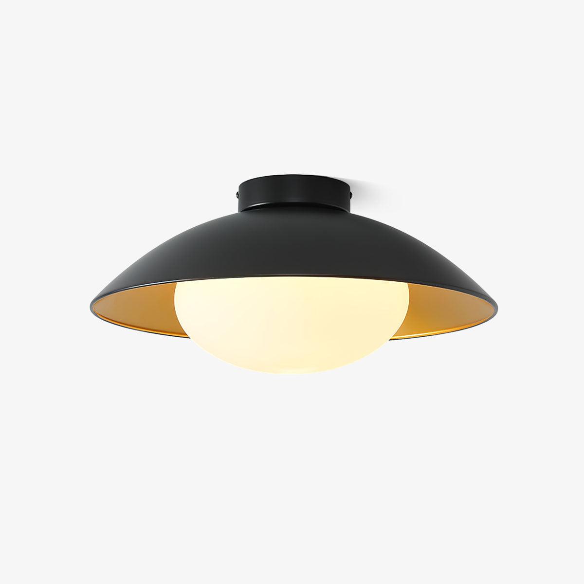 Adrienne Ceiling Light (NAAM DUBBEL VAK)