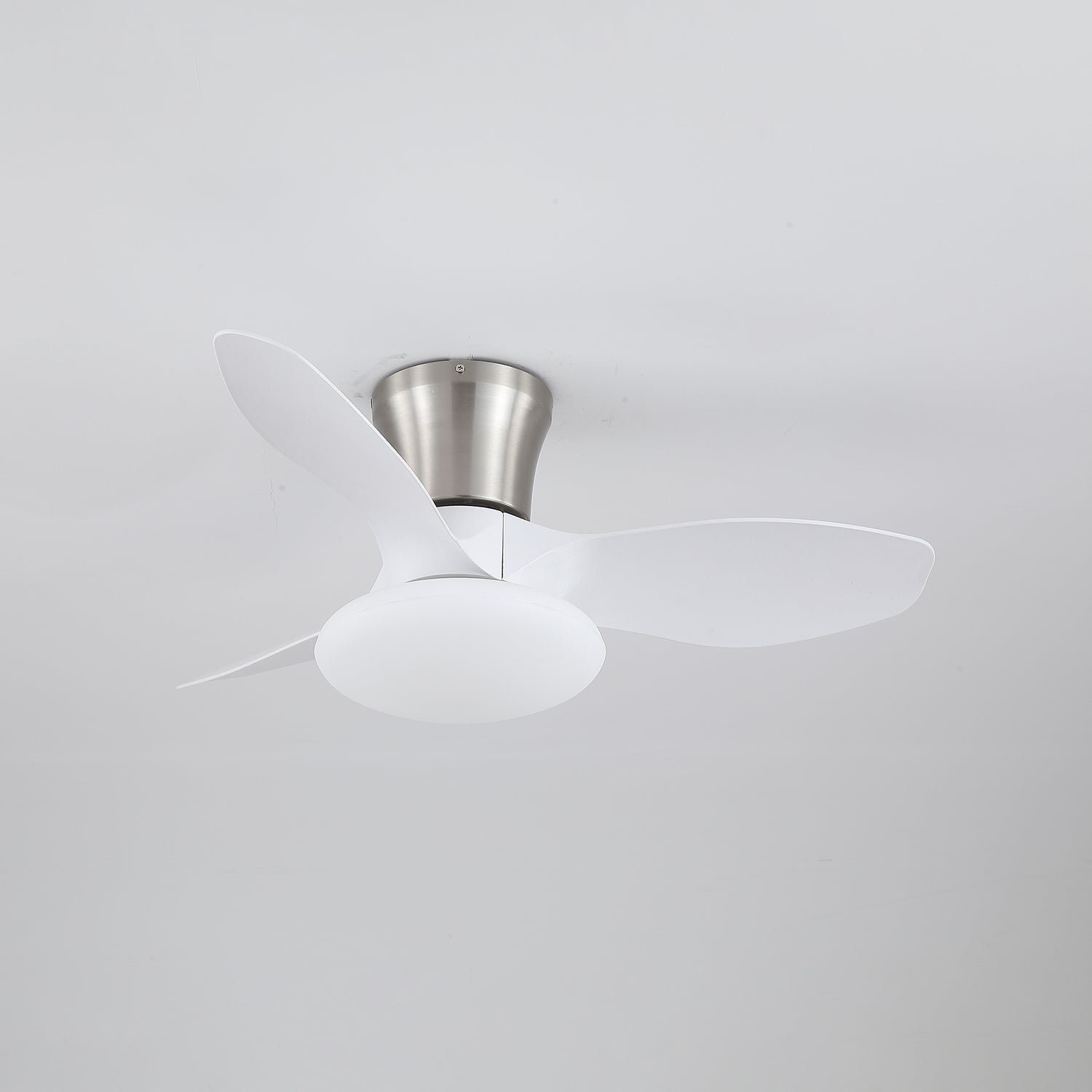 Jomer Ceiling Fan
