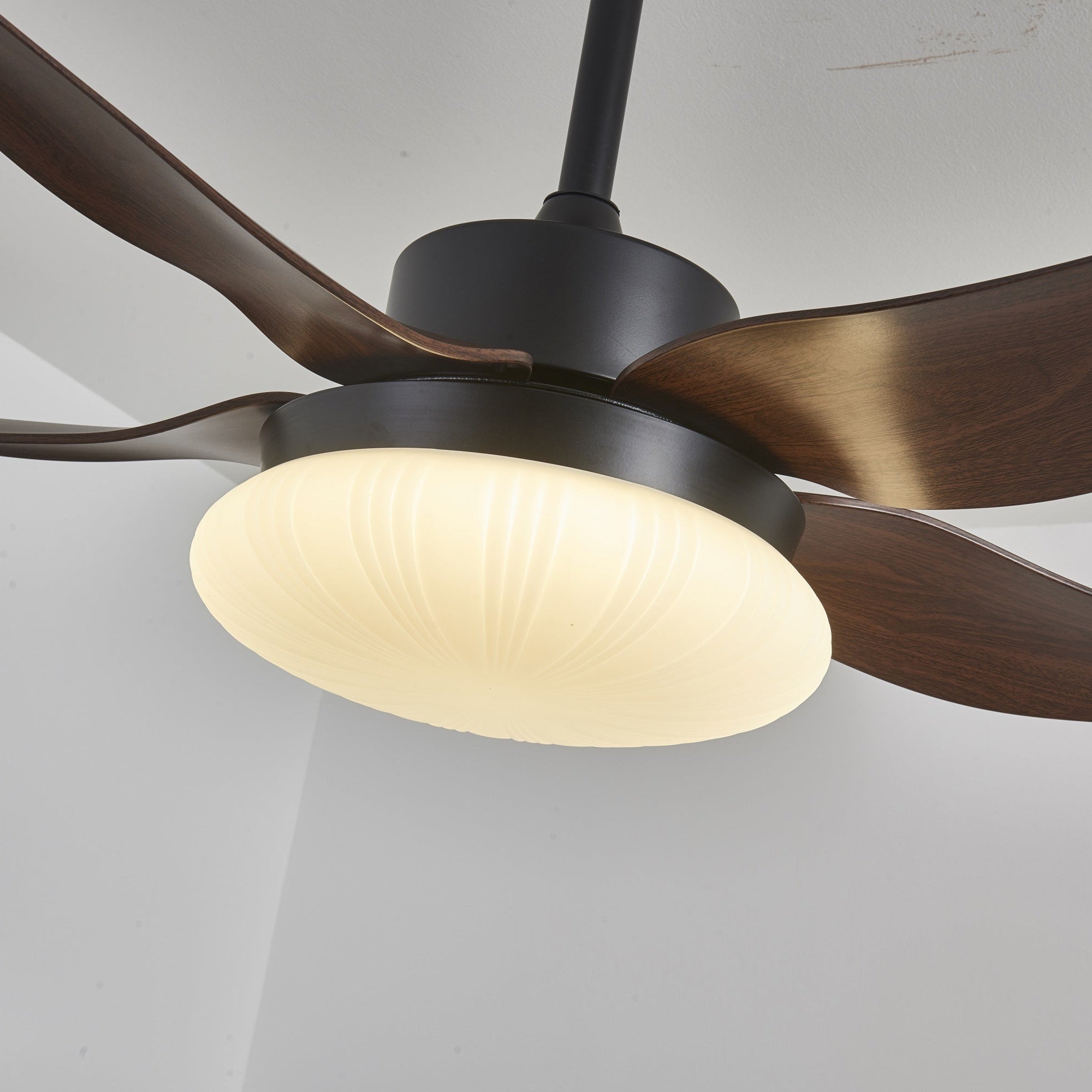 Amely LED Ceiling Fan