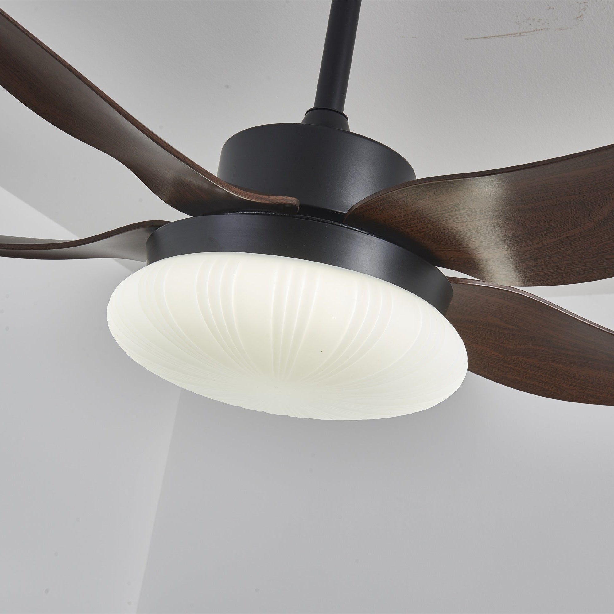 Amely LED Ceiling Fan