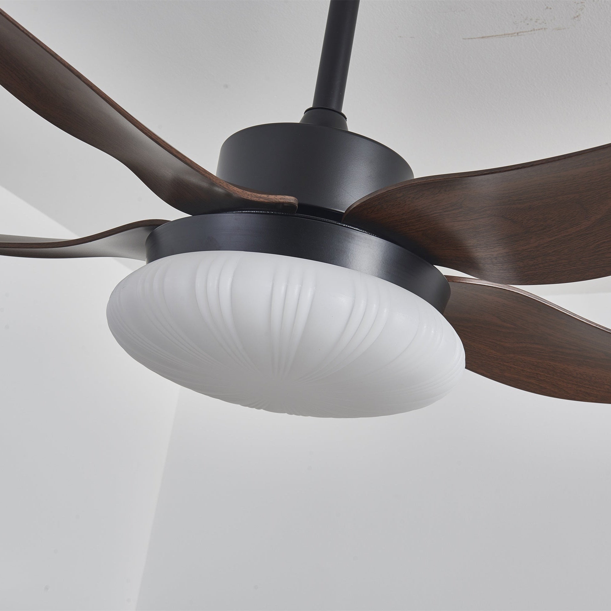 Amely LED Ceiling Fan