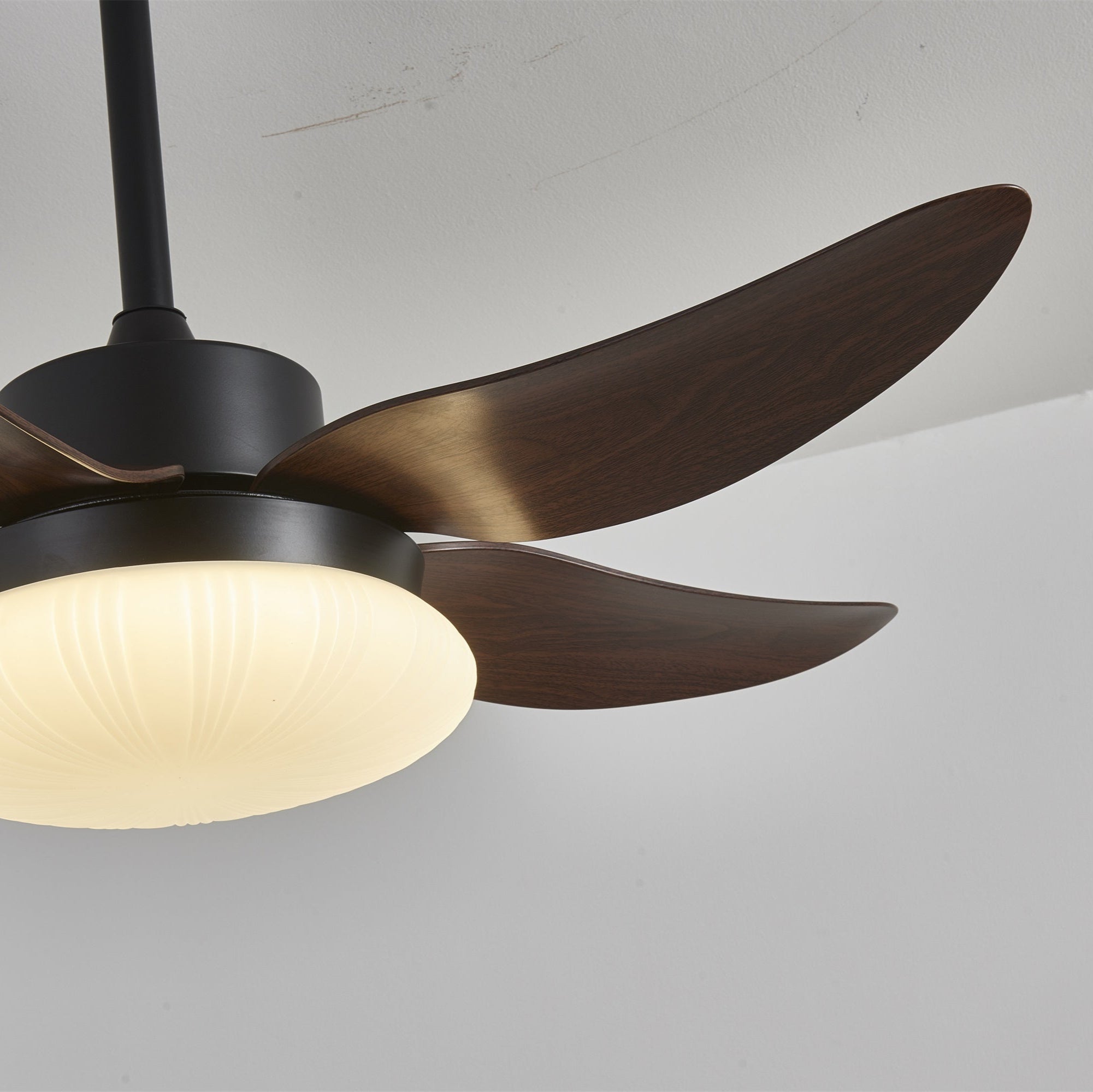 Amely LED Ceiling Fan