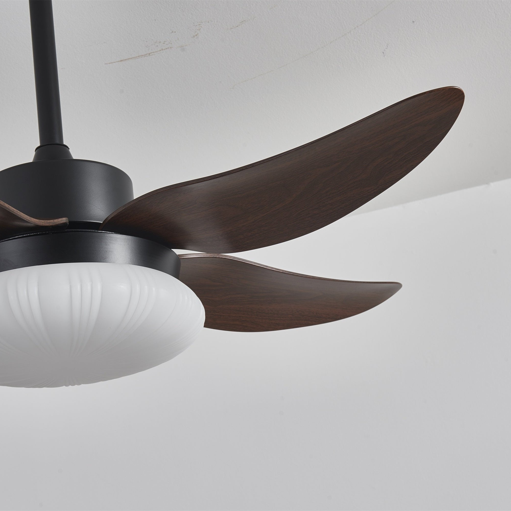 Amely LED Ceiling Fan