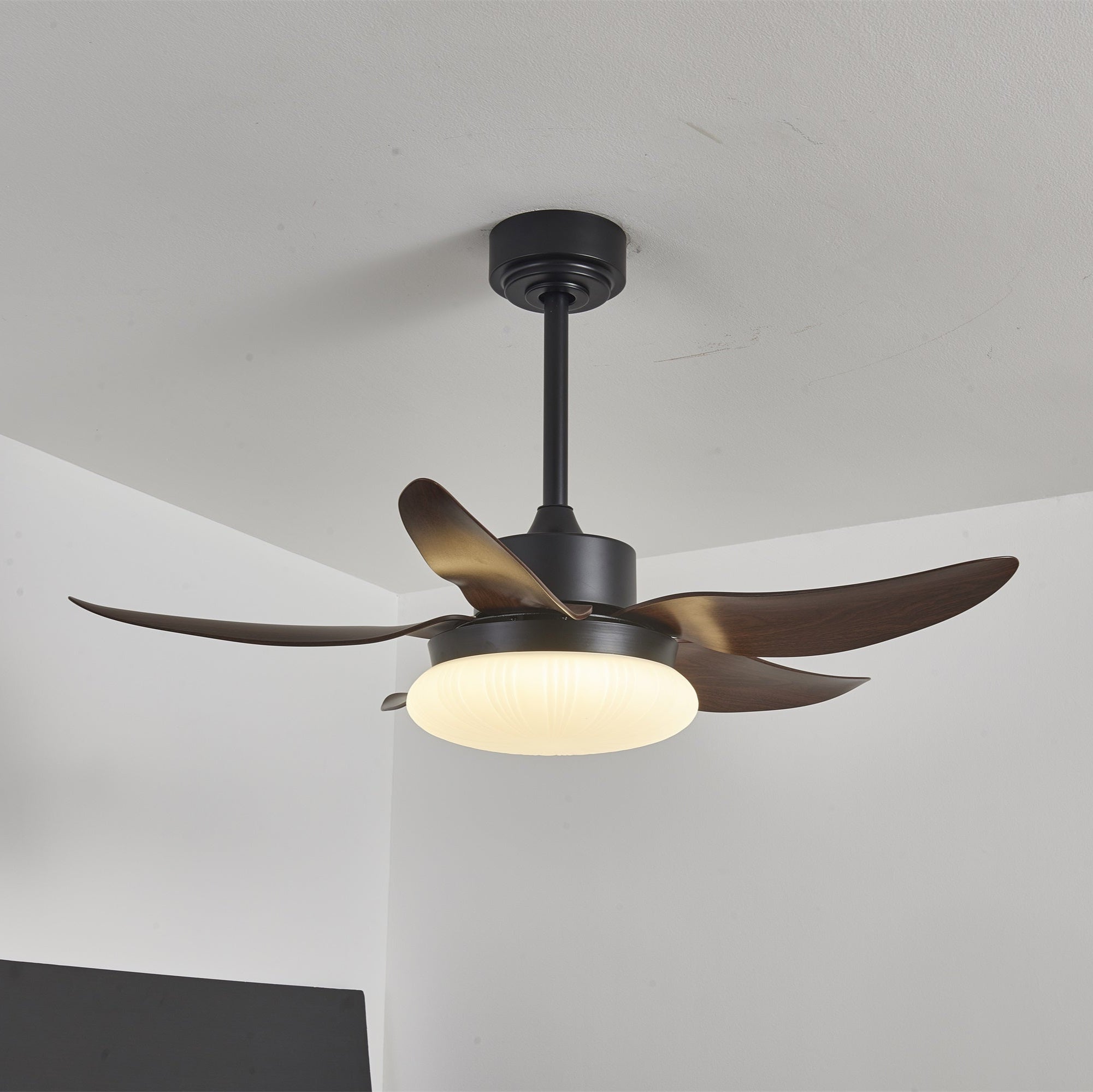 Amely LED Ceiling Fan