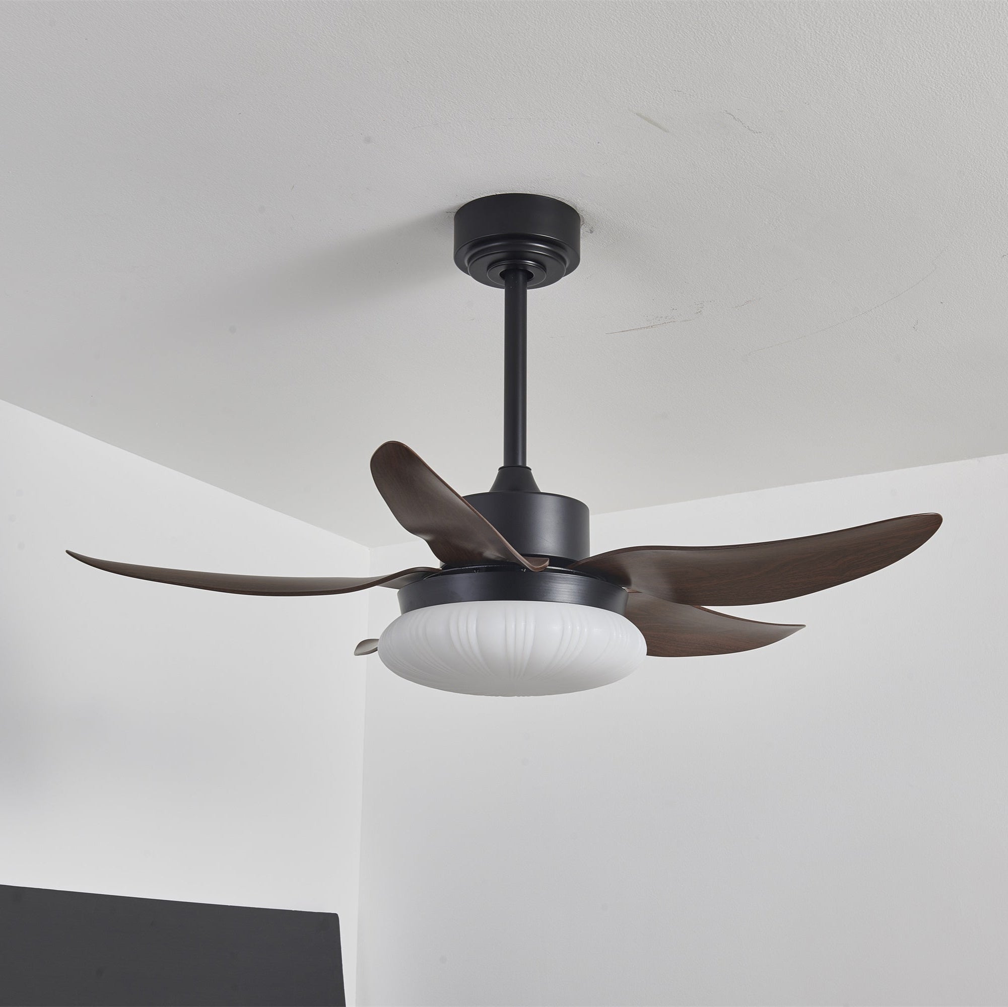Amely LED Ceiling Fan
