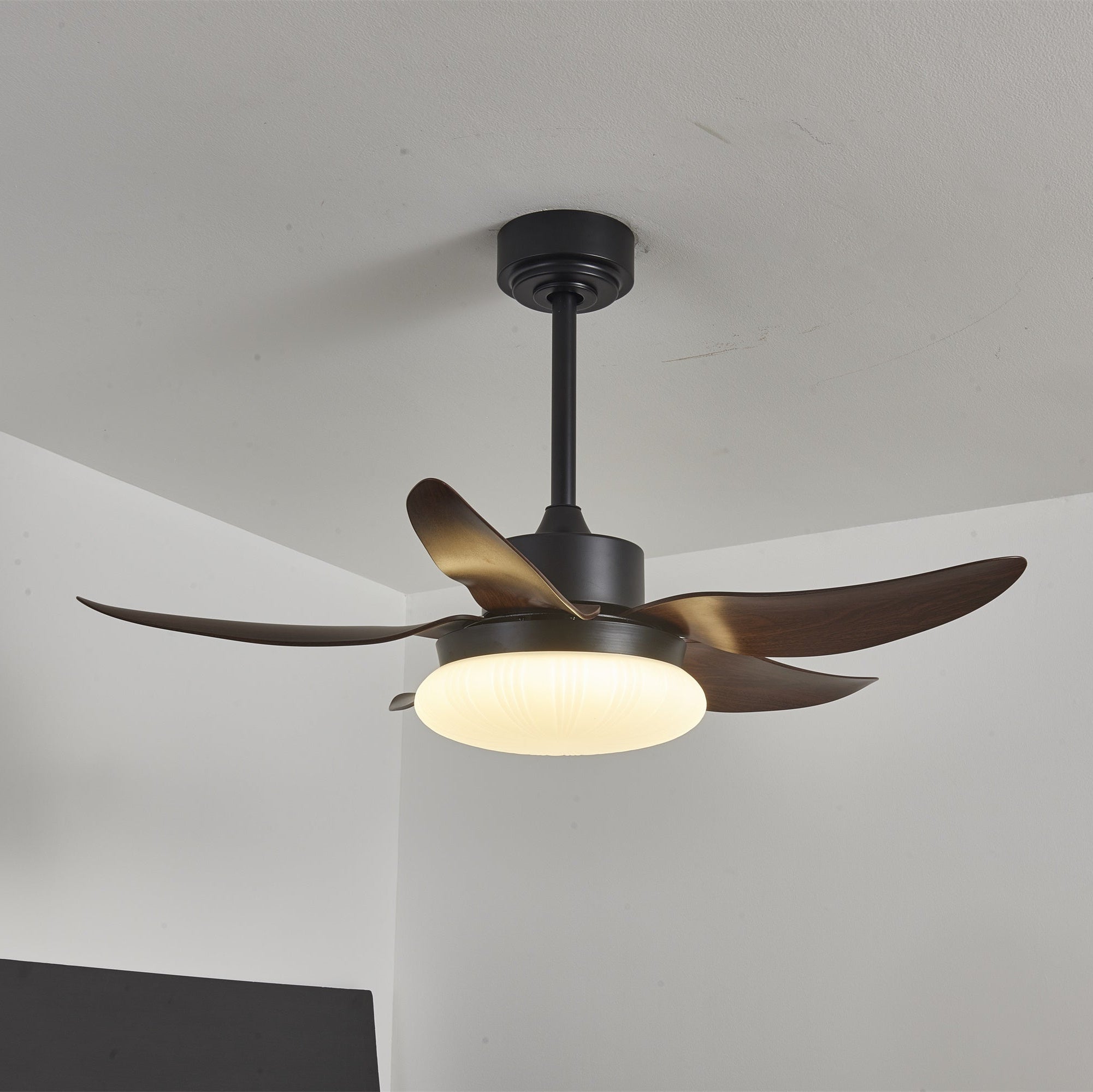 Amely LED Ceiling Fan